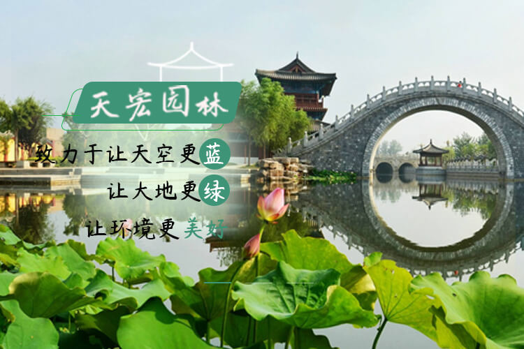 北京天宏園林綠化養護草莓视频污app-草莓视频下载黄-草莓视频免费下载观看-草莓视频app下载黄